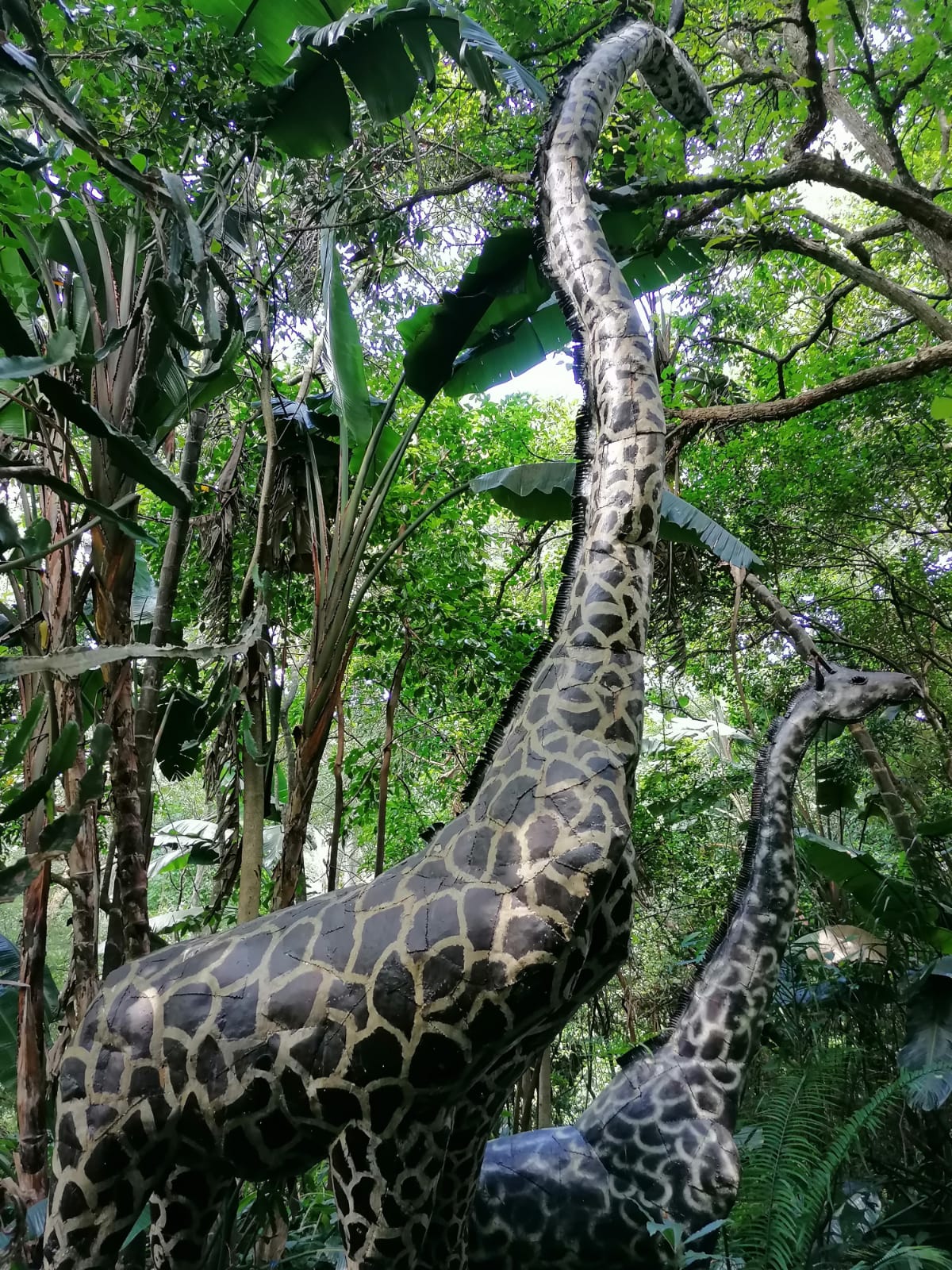 Giraffe sculptures at the Kloof Ammazulu Gardens and Sculpture Precinct